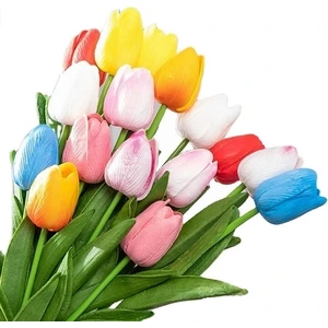 50'li 10 Farklı Mix Tulip Seed Lale Tohumu + 10'lu Kırmızı Küpe Çiçek Tohumu