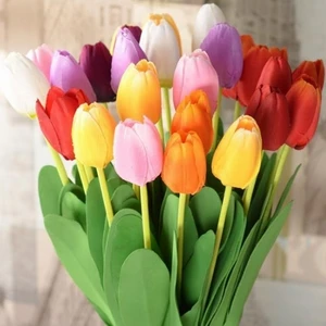 10'lu 10 Farklı Renk Mix Tulip Seed Lale Tohumu + 10'lu Kırmızı Orkide Çiçek Tohumu