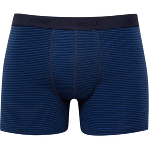 Erkek Çizgili Lacivert Boxer 0910712-30717