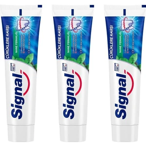 Signal beyaz Güç Nane Ferahlığı Diş Macunu 100 Ml 6221155075130 (3 Adet)