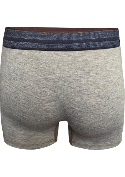 Gri Erkek Boxer DZN2903