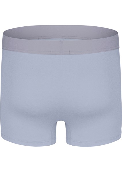 Gri Erkek Boxer DZNBM2003 modelleri