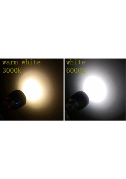 12 V 3 W Tekne LED Spot Iç Okuma Işık Duvar Lambası Gümüş 6000K (Yurt Dışından)