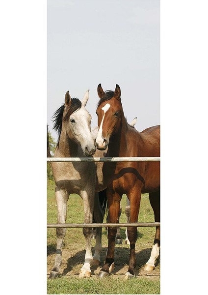 3 Oor Sticker Duvar Çıkartmaları Duvar Duvar Kağıdı Dıy Sanat Ev Dekorasyonu Dekorasyon D (Yurt Dışından)