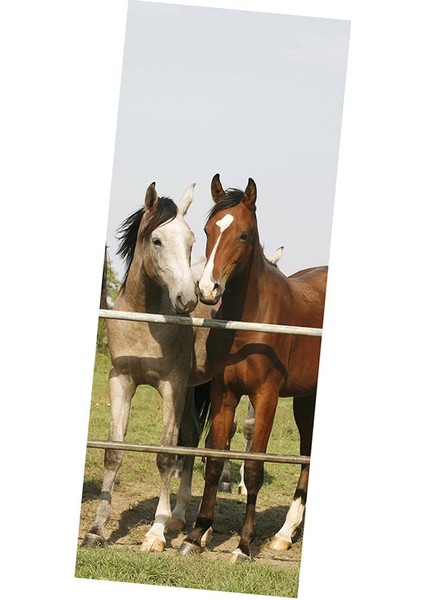 3 Oor Sticker Duvar Çıkartmaları Duvar Duvar Kağıdı Dıy Sanat Ev Dekorasyonu Dekorasyon D (Yurt Dışından) fırsatları