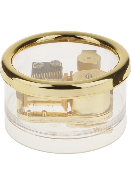 Müzik Kutusu (Yurt Dışından)