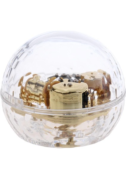 Müzik Kutusu (Yurt Dışından)