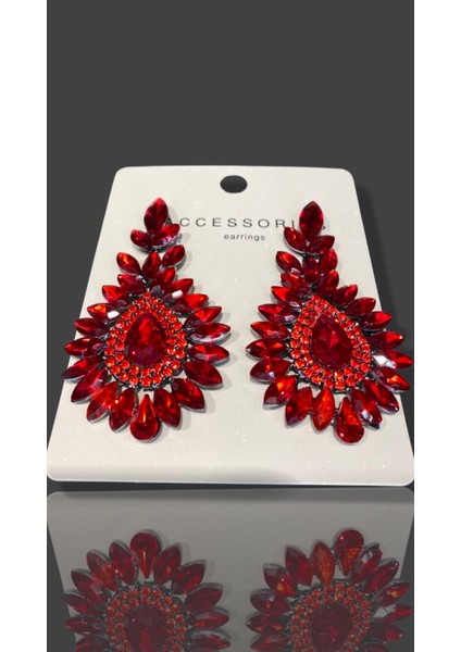 Kırmızı Zircon Taşlı Modern Tasarım Abiye Küpe MY70E22310055