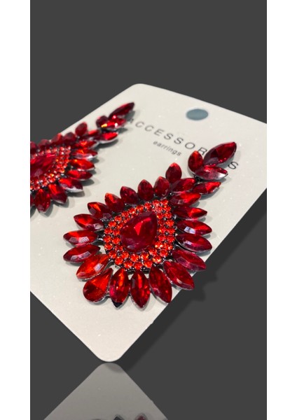 Kırmızı Zircon Taşlı Modern Tasarım Abiye Küpe MY70E22310055