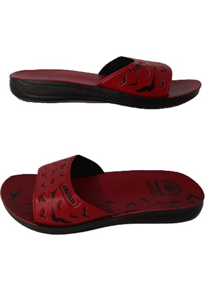 Kadın Günlük Ince Taban Hafif Terlik