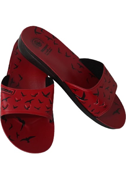 Kadın Günlük Ince Taban Hafif Terlik fiyatları