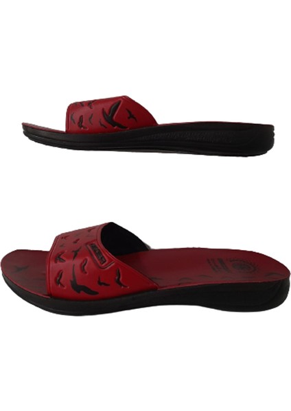 Kadın Günlük Ince Taban Hafif Terlik modelleri