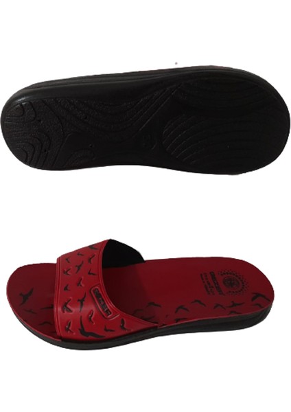 Kadın Günlük Ince Taban Hafif Terlik fırsatları