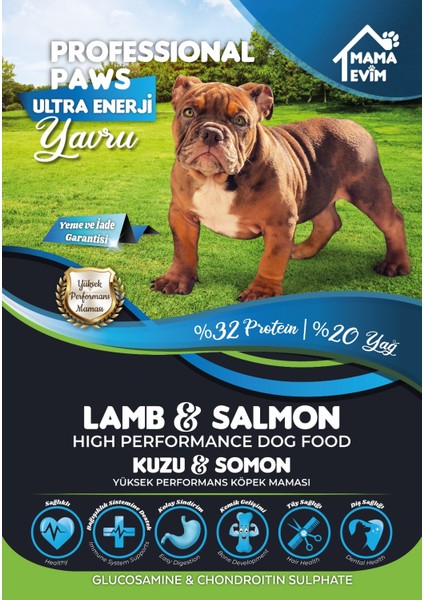 Ultra Enerji Kuzulu & Somonlu Yavru Köpek Maması 15KG