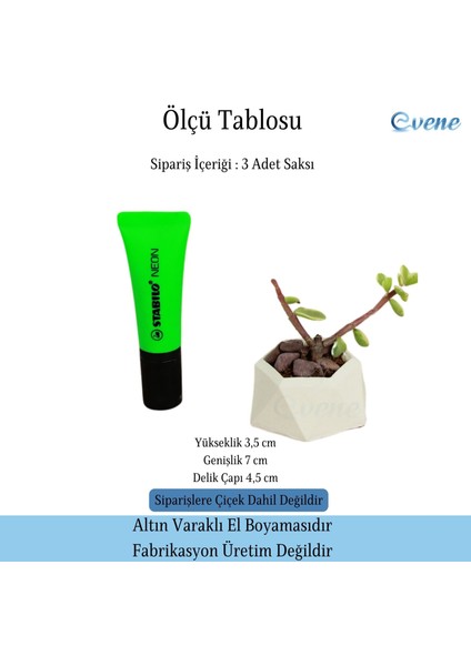 Mini Çiçek Saksı Küçük Sukulent Kaktüs Saksısı 3'lü Set Mini Poly 2
