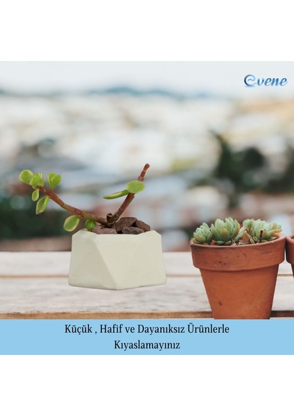 Mini Çiçek Saksı Küçük Sukulent Kaktüs Saksısı 3'lü Set Mini Poly 2