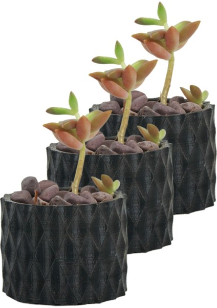 Mini Çiçek Saksı Küçük Sukulent Kaktüs Saksısı 3'lü Set Baklava Çizgili