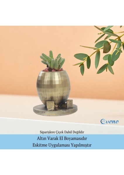Ahşap Ayaklı Beton Saksı Dekoratif 1 Adet Ayaklı Yuvarlak Model