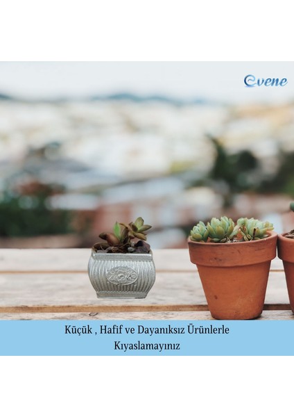 Mini Çiçek Saksı Küçük Sukulent Kaktüs Saksısı 3'lü Set Mini Çizgili Çiçekli modelleri