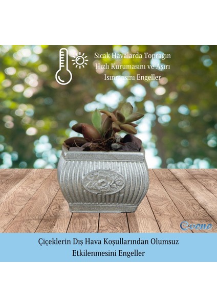 Mini Çiçek Saksı Küçük Sukulent Kaktüs Saksısı 3'lü Set Mini Çizgili Çiçekli fırsatları