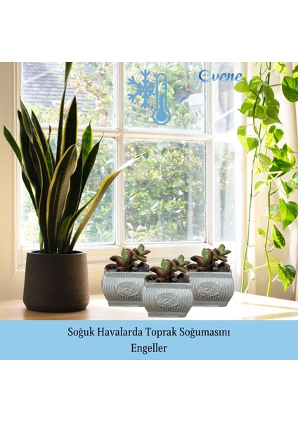 Mini Çiçek Saksı Küçük Sukulent Kaktüs Saksısı 3'lü Set Mini Çizgili Çiçekli indirimleri