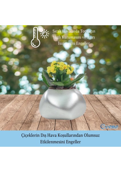 Saksı Çiçek Kaktüs Saksısı Lüx 14 cm Elips Desenli 3'lü Set Çiçeklik fırsatları