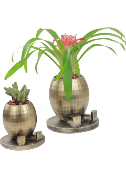 Saksı Çiçek Kaktüs Saksısı Lüx 17 cm Yuvarlak Ayaklı Saksı 2'li Set Çiçeklik