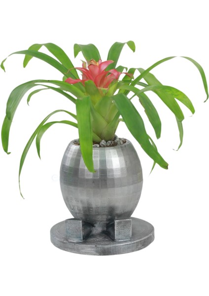 Saksı Çiçek Kaktüs Saksısı Lüx 17 cm Altın Varak Boyalı Yuvarlak Ayaklı Saksı Çiçeklik