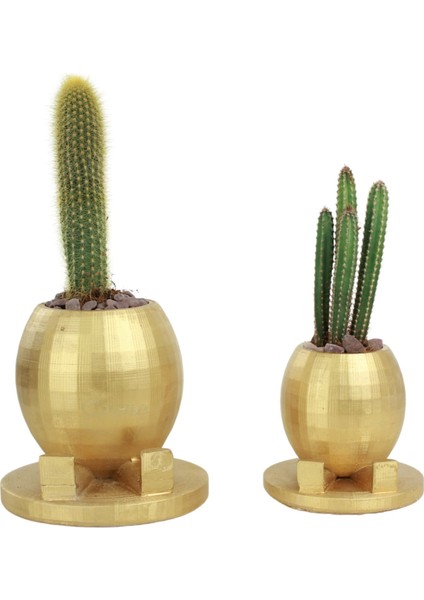 Saksı Çiçek Kaktüs Saksısı Lüx 17 cm Yuvarlak Ayaklı Saksı 2'li Set Çiçeklik