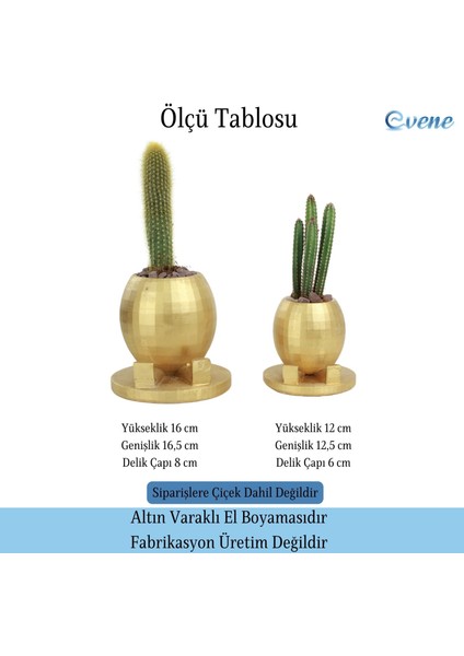 Saksı Çiçek Kaktüs Saksısı Lüx 17 cm Yuvarlak Ayaklı Saksı 2'li Set Çiçeklik