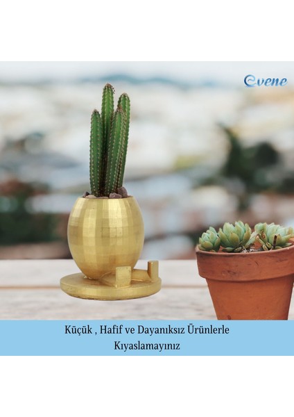 Saksı Çiçek Kaktüs Saksısı Lüx 17 cm Yuvarlak Ayaklı Saksı 2'li Set Çiçeklik