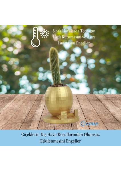 Saksı Çiçek Kaktüs Saksısı Lüx 17 cm Yuvarlak Ayaklı Saksı 2'li Set Çiçeklik