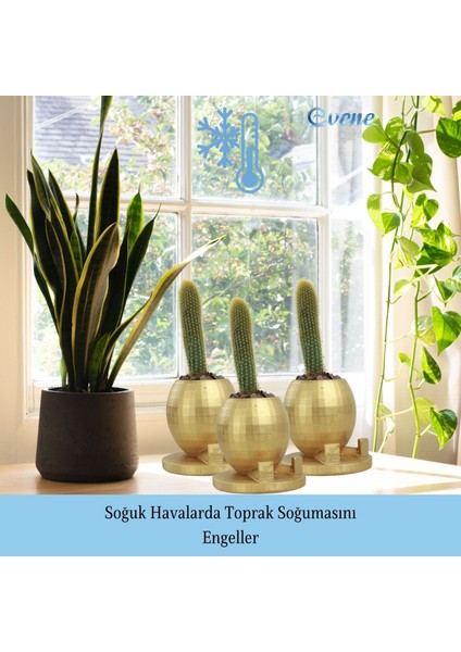 Saksı Çiçek Kaktüs Saksısı Lüx 17 cm Yuvarlak Ayaklı Saksı 2'li Set Çiçeklik