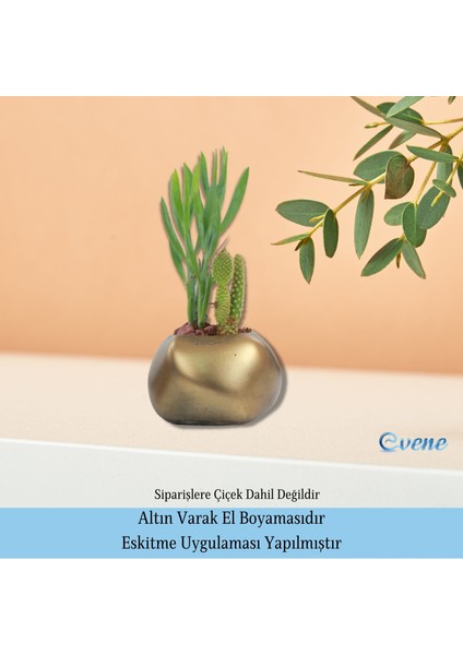 Saksı Çiçek Kaktüs Saksısı Lüx 14 cm Elips Desen Saksı Çiçeklik indirimleri