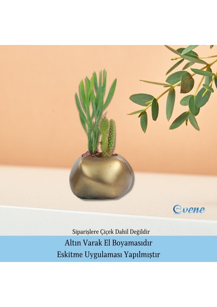 Saksı Çiçek Kaktüs Saksısı Lüx 9 cm Elips Desen Saksı Çiçeklik indirimleri