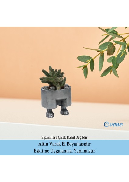 Saksı Çiçek Kaktüs Saksısı Lüx 8,5 cm Pantolon Desen Saksı Çiçeklik indirimleri