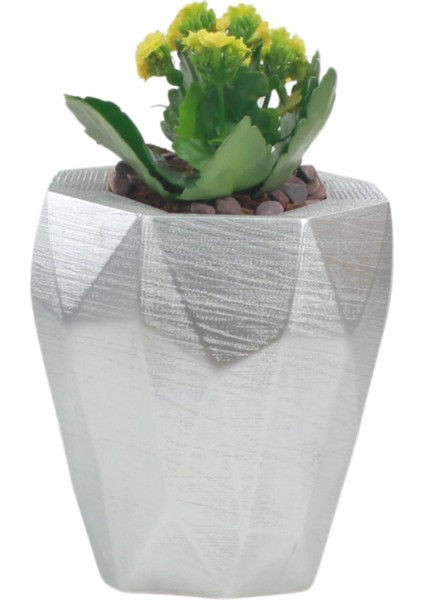 Saksı Çiçek Kaktüs Saksısı Lüx 15 cm Poly Desen Saksı Çiçeklik