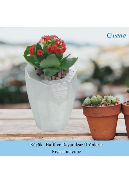 Saksı Çiçek Kaktüs Saksısı Lüx 15 cm Poly Desen Saksı Çiçeklik modelleri