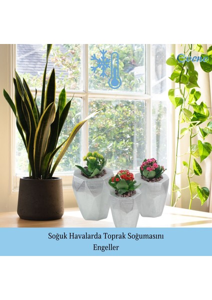 Saksı Çiçek Kaktüs Saksısı Lüx 15 cm Poly Desen Saksı Çiçeklik indirimleri