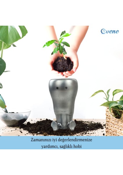 Saksı Çiçek Kaktüs Saksısı Lüx 12 cm Havuç Desen Saksı Çiçeklik fırsatları