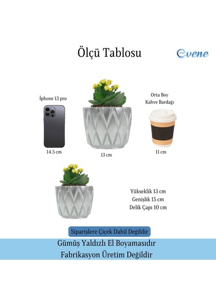 Saksı Çiçek Kaktüs Saksısı Lüx 15 cm Baklava Desen Saksı Çiçeklik