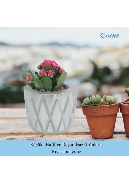 Saksı Çiçek Kaktüs Saksısı Lüx 15 cm Baklava Desen Saksı Çiçeklik
