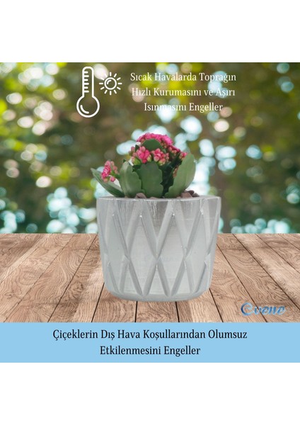 Saksı Çiçek Kaktüs Saksısı Lüx 15 cm Baklava Desen Saksı Çiçeklik