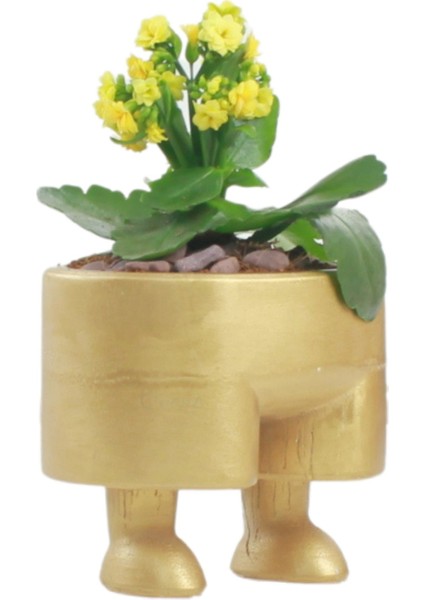 Saksı Çiçek Kaktüs Saksısı Lüx 13 cm Pantolon Desen Saksı Çiçeklik