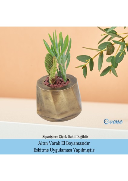Saksı Çiçek Kaktüs Saksısı Lüx 15 cm Kalın Çizgili Desen Saksı Çiçeklik indirimleri
