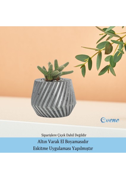 Saksı Çiçek Kaktüs Saksısı Lüx 13 cm Mekanik Dişli Desen Saksı Çiçeklik