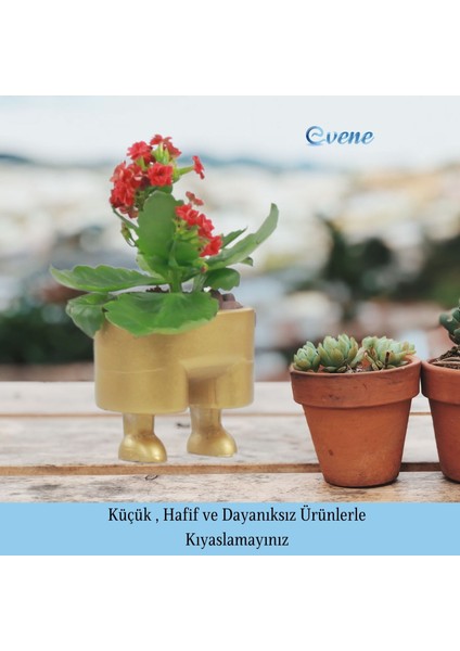 Saksı Çiçek Kaktüs Saksısı Lüx 13 cm Pantolon Desen Saksı Çiçeklik modelleri