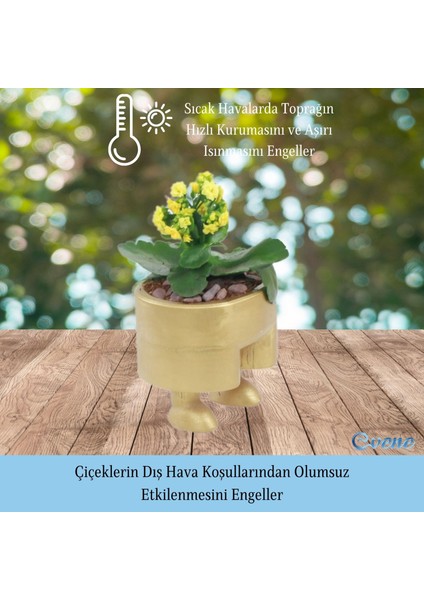Saksı Çiçek Kaktüs Saksısı Lüx 13 cm Pantolon Desen Saksı Çiçeklik fırsatları