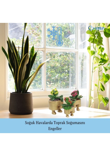 Saksı Çiçek Kaktüs Saksısı Lüx 13 cm Pantolon Desen Saksı Çiçeklik indirimleri