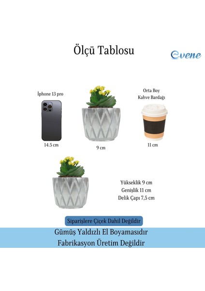 Saksı Çiçek Kaktüs Saksısı Lüx 11 cm Baklava Desen Saksı Çiçeklik